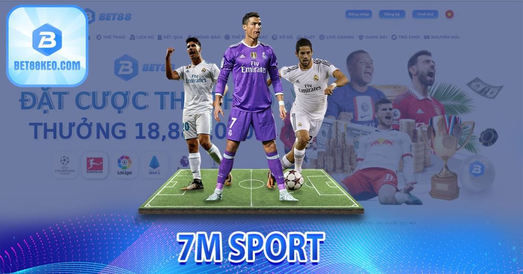 7m Sport