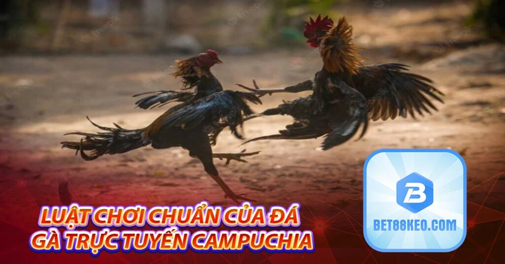 Luật chơi chuẩn của đá gà trực tuyến Campuchia
